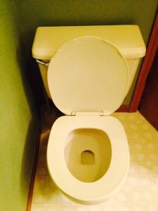 toilet1