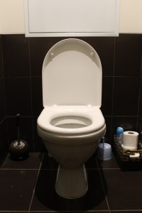 flushtoilet