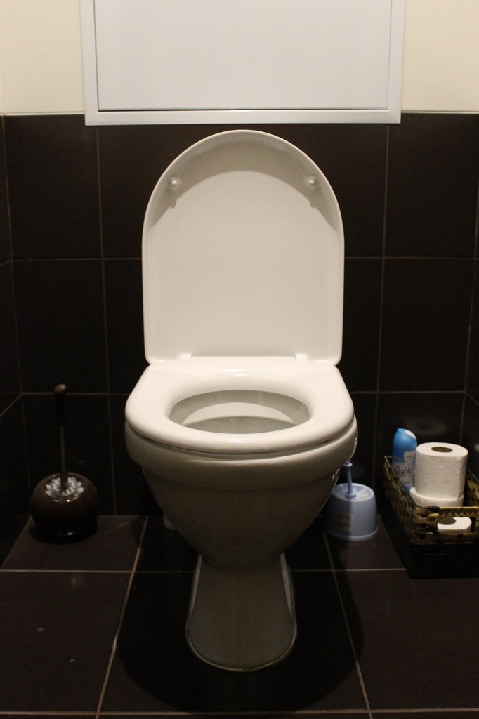 4 Reasons Why You're Flushing Your Toilet Twice Putman PlumbingPutman
