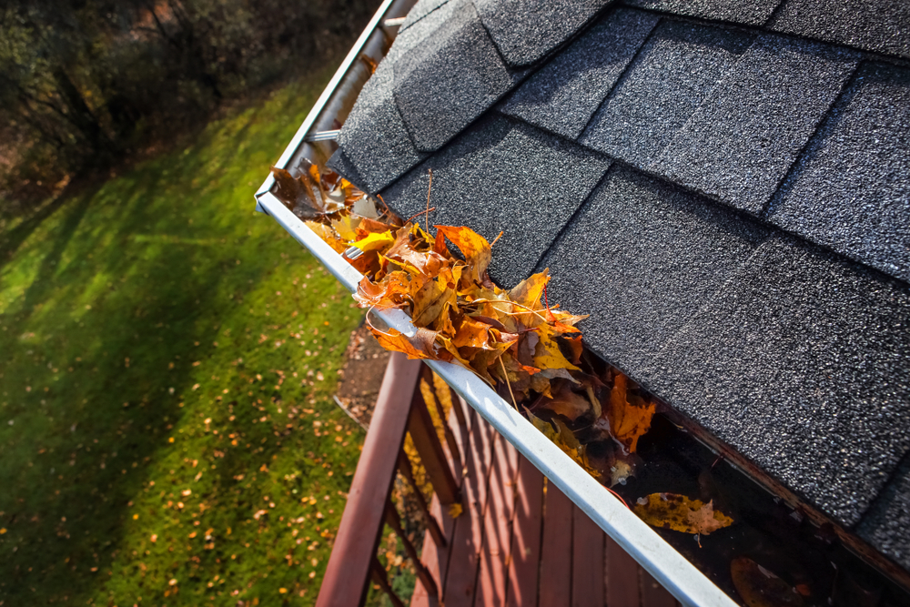 Gutters leaves